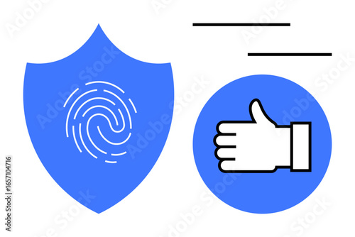Shield with fingerprint, thumbs-up hand icon, emphasis on protection, trust, verification, and reliable access. Ideal for cybersecurity, data validation, identity protection trust systems secure