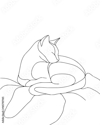 Elegant line art of a sleeping cat curled up on a cushion, , capturing the serenity and peacefulness of a resting feline vector art drawing