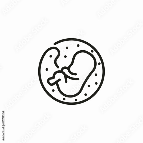 fetus circle icon sign vector
