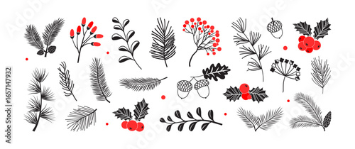 Christmas branch plant, winter pine, leaf and holly berry. Xmas tree, pine cone, fir, mistletoe. Black, red floral silhouette, holiday hand draw set isolated on white background. Vector illustration