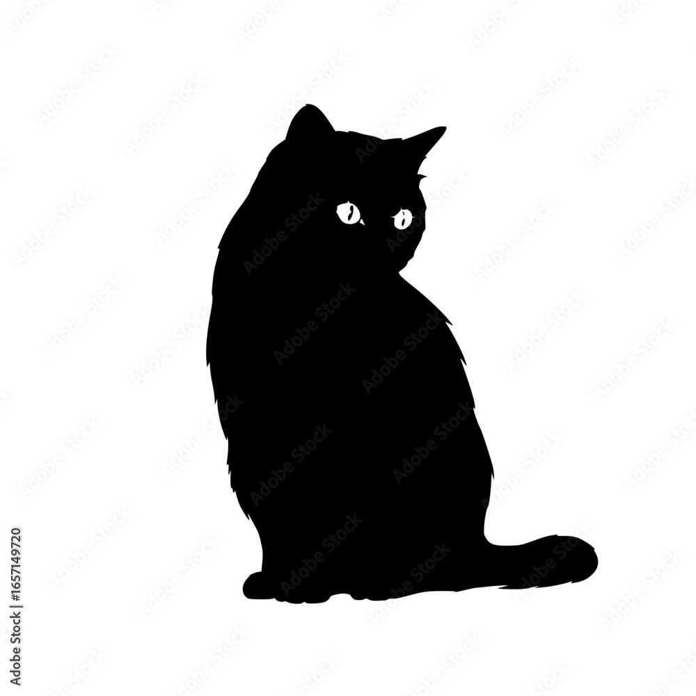 Obraz premium black cat on white background