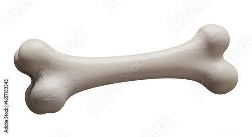White dog bone vector illustration, pet accessory or chew toy graphic