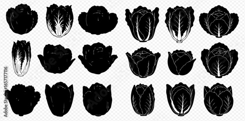 A collection of black and white Chinese cabbage illustrations, including silhouettes and detailed line art, arranged in a grid on a transparent background.