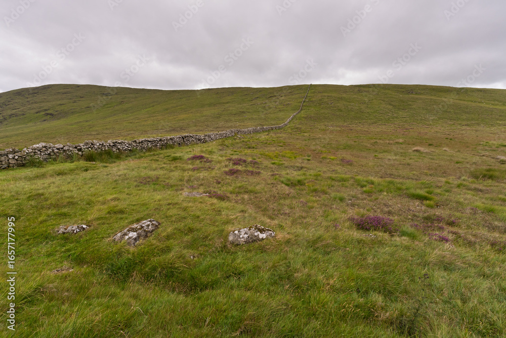 Fototapeta premium A field with a stone wall and a few rocks in it