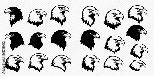 A collection of black and white eagle head illustrations, featuring various profile views in silhouette and detailed line art styles for logos or mascots.