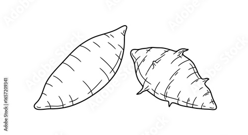 A black and white line drawing of two sweet potatoes, one elongated and smooth, the other more irregular and bumpy.