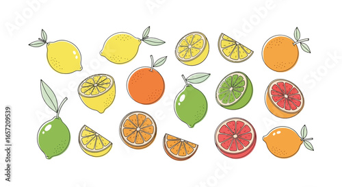 A vibrant collection of hand-drawn citrus fruits, including lemons, limes, oranges, and grapefruits, shown whole and sliced.