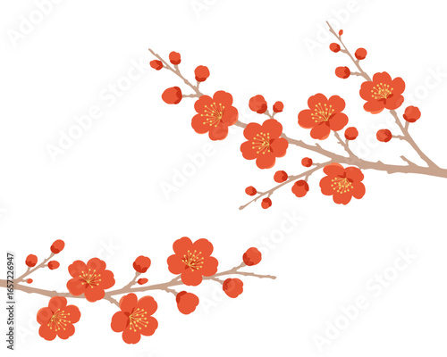 Red Plum Blossom Branch Illustration on White Background
