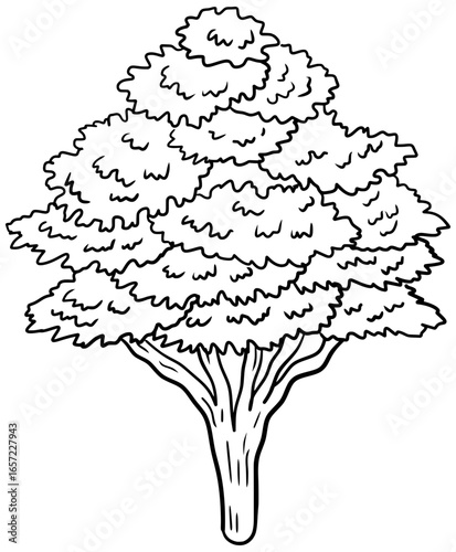 Dogwood Tree Vector Outline Line Art Drawing