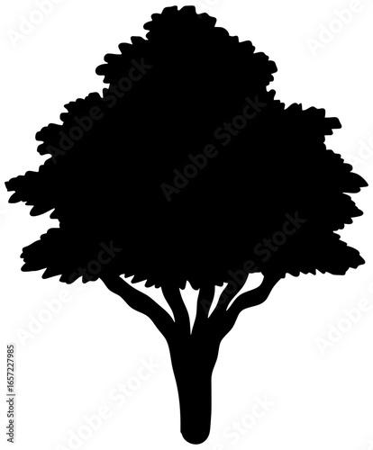 Dogwood Tree Silhouette Vector Shadow Illustration