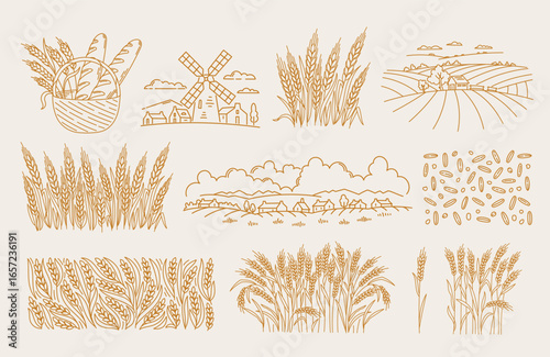 Visual elements for bakery packaging designs featuring grain and bread motifs