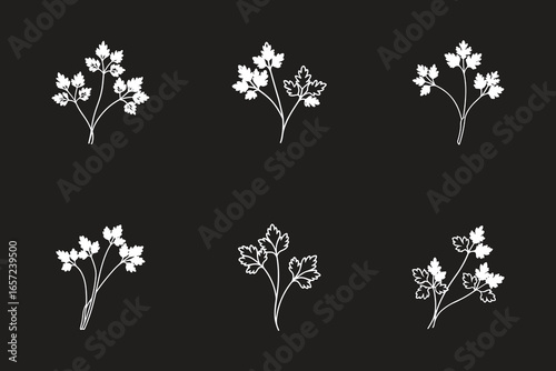 Seamless pattern of white parsley sprigs on a black background for culinary and design projects featuring herbs and vegetables