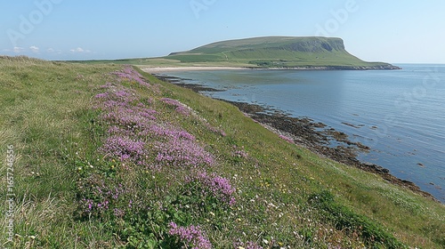 Coastal view with wildflowers and a hill