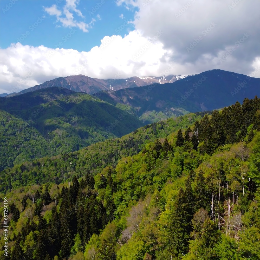 Obraz premium Mountainous landscape, lush green forests, dramatic sky