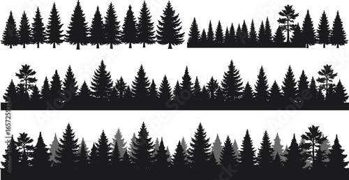 Silhouette of pine forest, coniferous tree landscape illustration, evergreen woodland scenery, nature background for outdoor design, vector forest borders set