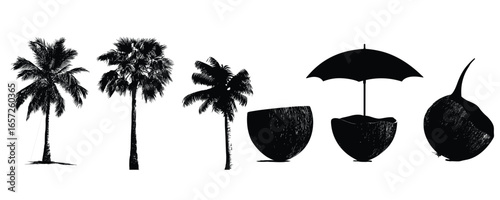 set of palm tree coconut and umbrella silhouette for tropical beach and summer holiday design