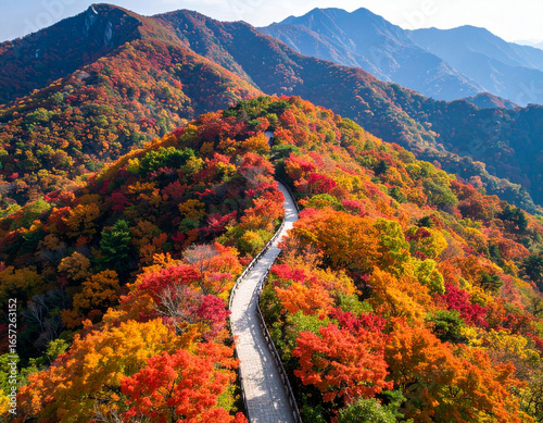 Drone view of autumn mountain trail