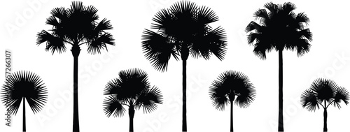 PrintSilhouette vector of seven diverse palm trees in a row, highlighting tropical nature, exotic plants, landscaping, botanical variety, and summer illustration