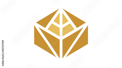 Golden geometric hexagonal prism with internal triangular structure on a white background abstract shape