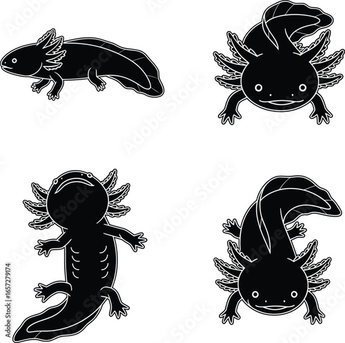 Four black silhouette illustrations of axolotls on a white background