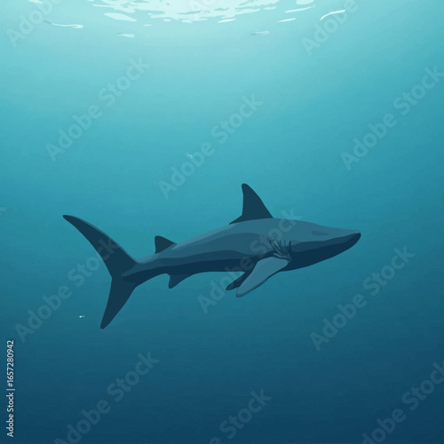 A sleek shark gracefully swims in tranquil, deep blue ocean water.