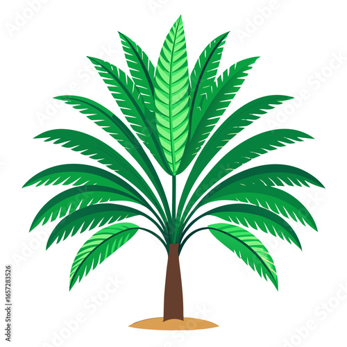 a palm tree with a brown trunk and large green fronds spreading outward in a fan-like pattern, no background vector file.