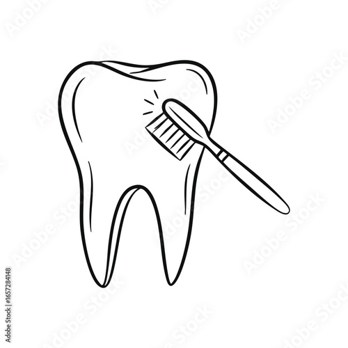 Dental Health and Brushing. This clean illustration depicts a gleaming molar being scrubbed, representing optimal oral care and hygiene. It symbolizes good habits for strong teeth.