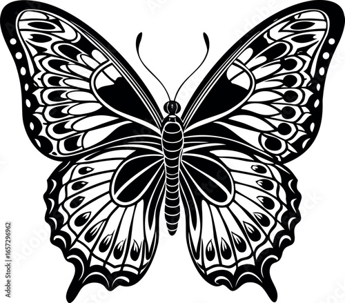 Elegant black and white butterfly illustration showcasing detailed wing patterns and symmetry