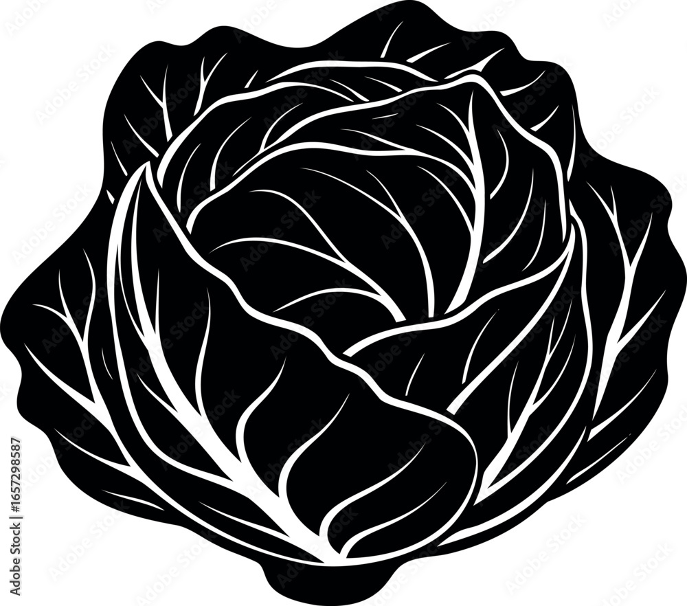 Obraz premium A monochromatic vector illustration of a tightly layered and leafy green cabbage