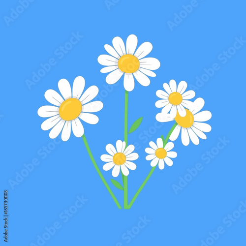 Daisies with white petals and yellow centers on blue. Perfect for spring designs, nature themes, floral backgrounds, or gardening concepts.