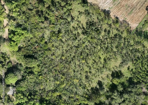 Top View Aerial Photograph