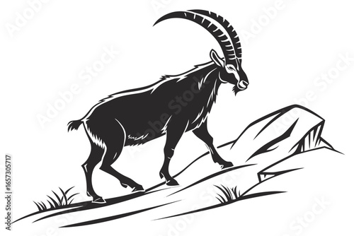 Ibex animal sihouette black vector