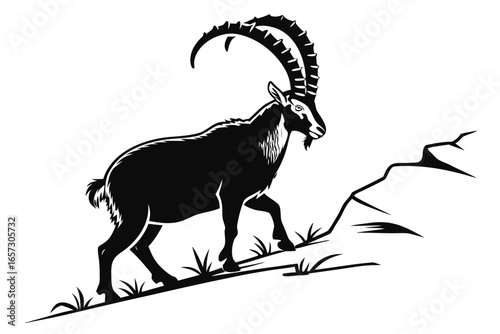 Ibex animal sihouette black vector