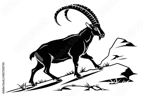 Ibex animal sihouette black vector