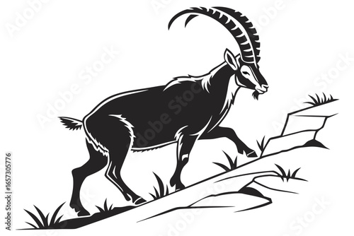 Ibex animal sihouette black vector