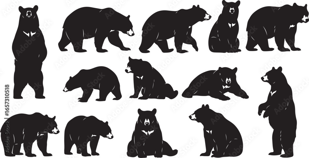 Fototapeta premium Collection of black bear silhouettes in various standing and sitting poses on a white background