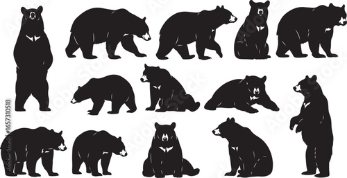 Collection of black bear silhouettes in various standing and sitting poses on a white background