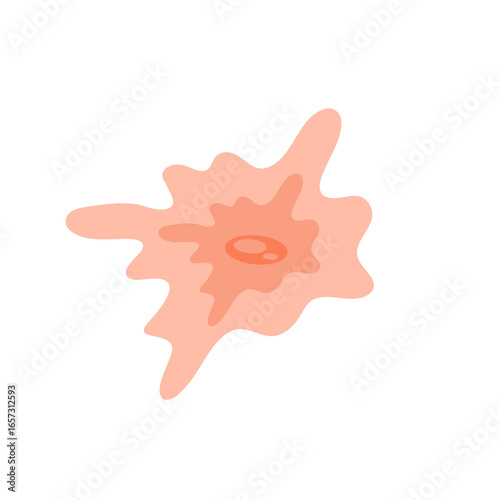Human fibroblast cell vector illustration
