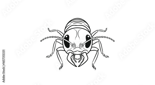 A detailed black and white line drawing of a termite soldier, viewed from the front, showcasing its large mandibles and antennae on a white background.