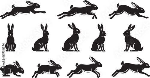 Collection of black rabbit silhouettes in various dynamic poses and actions