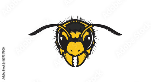 Close-up vector illustration of a wasp head.