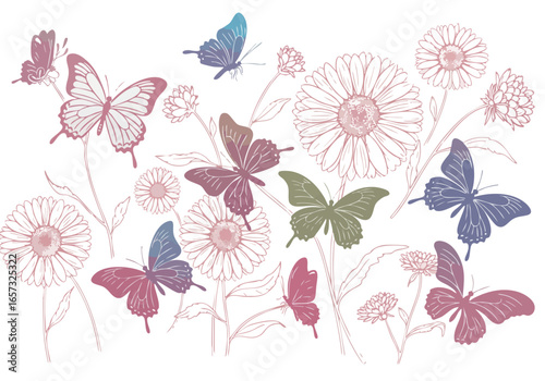 An artistic illustration of colorful butterflies fluttering among delicate, line-drawn daisy-like flowers on a white background.