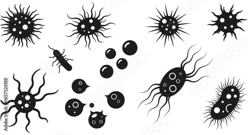 Various types of bacteria and microorganisms in a simple illustration style