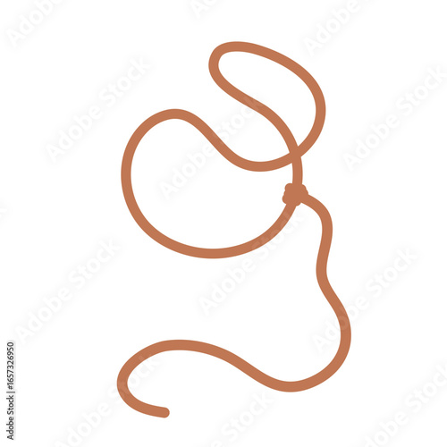 Lasso rope icon. Wild lasso icon. Vector illustration. 
