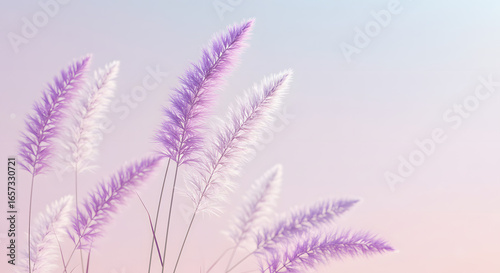 Dreamy Botanical Photo of Purple and White Blossoms against Pastel Sky