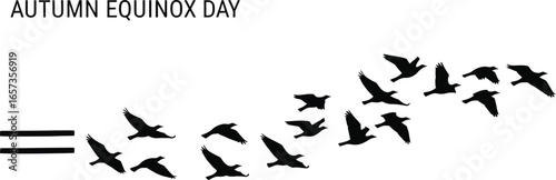 A flock of birds flies in formation on the autumn equinox day, a simple and minimalist design for a banner or poster
