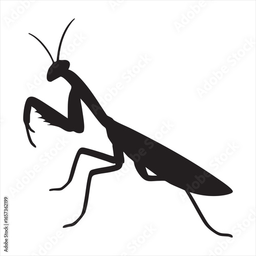 A striking black silhouette of a praying mantis, showcasing its distinctive predatory posture. This silhouette style highlights the insect's form