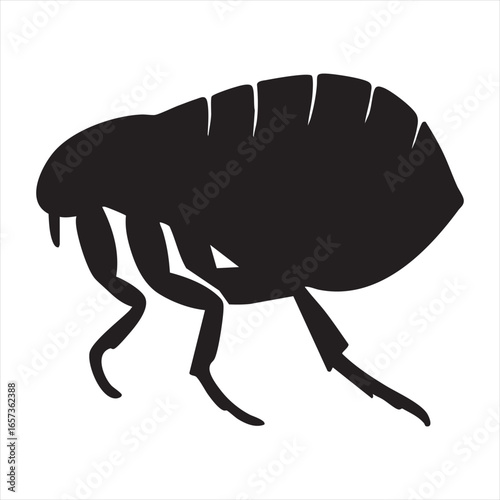 A stark black silhouette of a flea, showcasing its distinctive segmented body and legs in a minimalist style