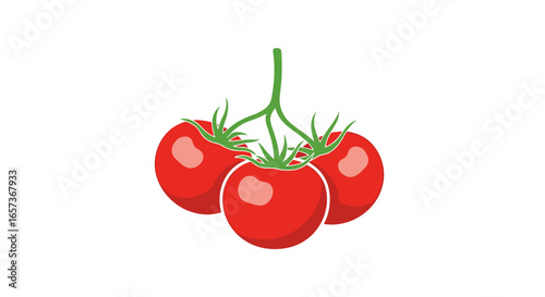 Fresh ripe red tomatoes on the vine healthy summer produce delicious garden vegetables