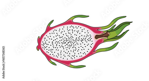 Delicious tropical dragon fruit slice showing its white flesh with black seeds and pink skin healthy food concept illustration